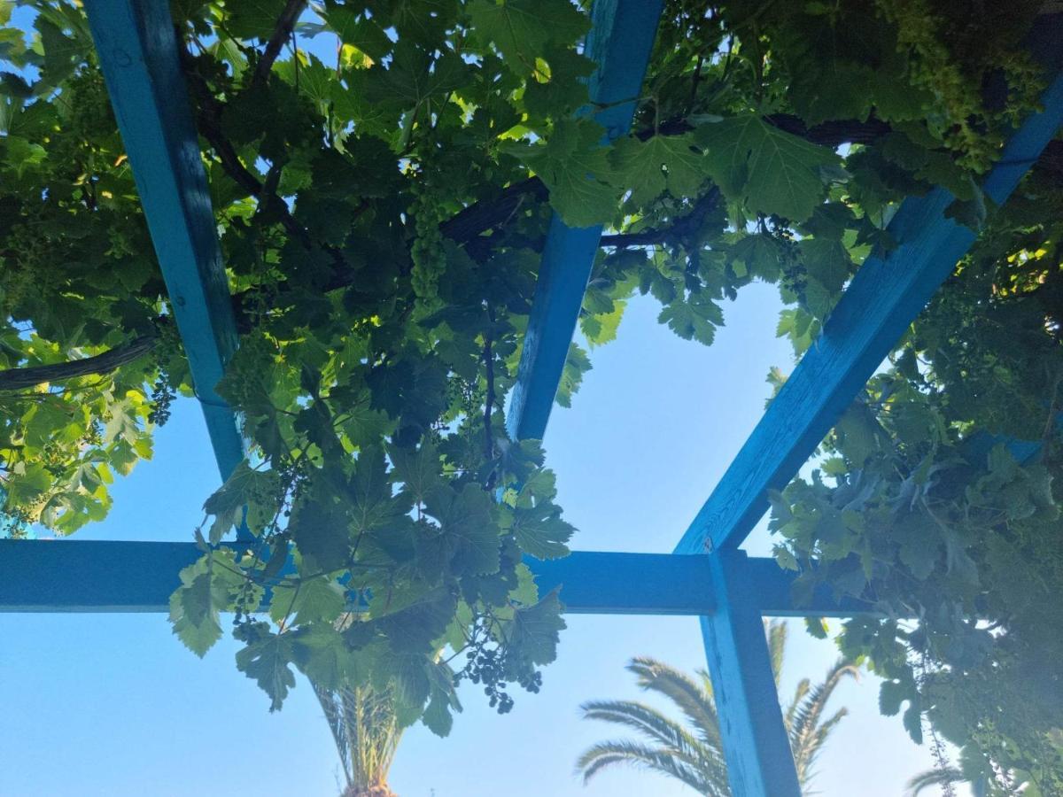 Artemis Apart otel Makrýgialos Dış mekan fotoğraf